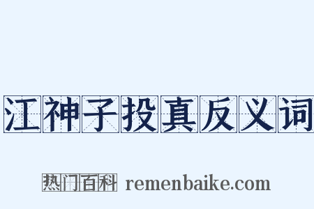 江神子投真反义词是什么意思的图片